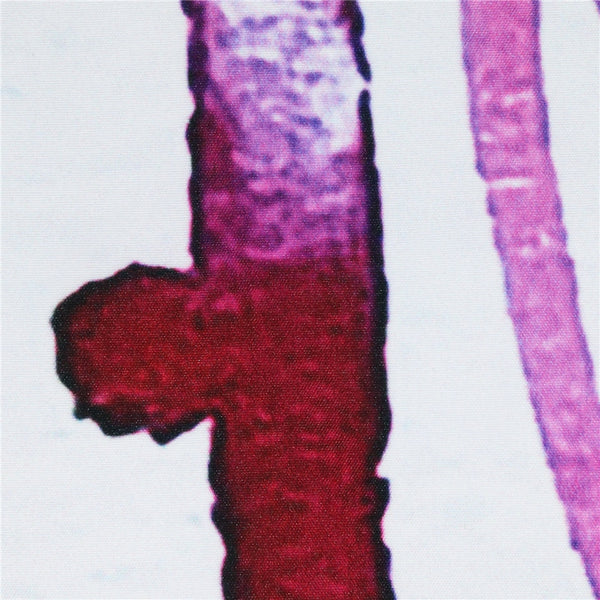 Tenture  ''Eye Color''