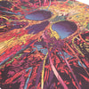 Poster Kraft "Skull Color Explosion" - Les Doux Raveurs